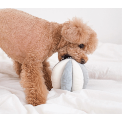 Lambwolf Collective - Toto