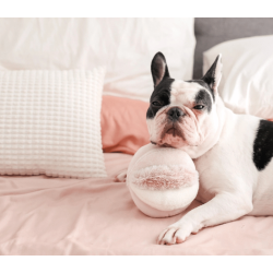 Lambwolf Collective - Toto