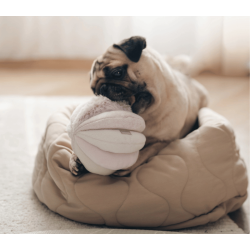 Lambwolf Collective - Toto