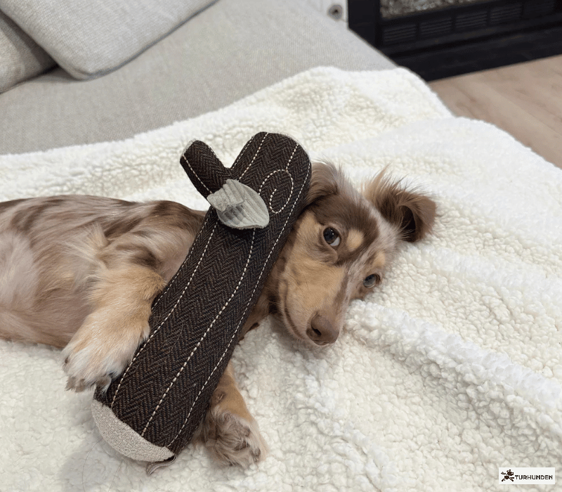 Lambwolf Collective - Fire Log