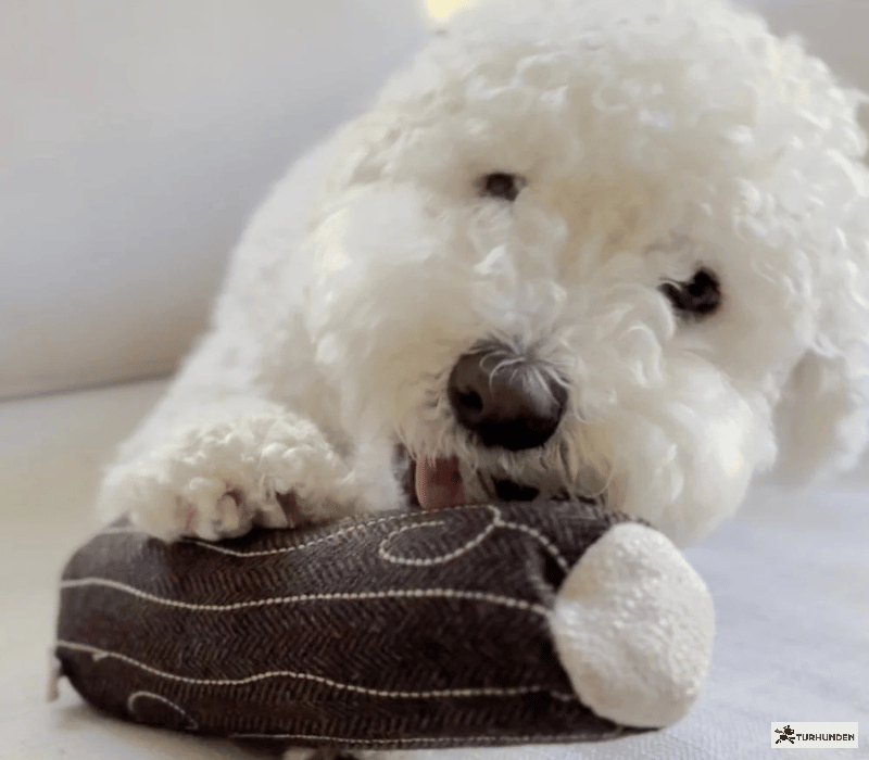 Lambwolf Collective - Fire Log