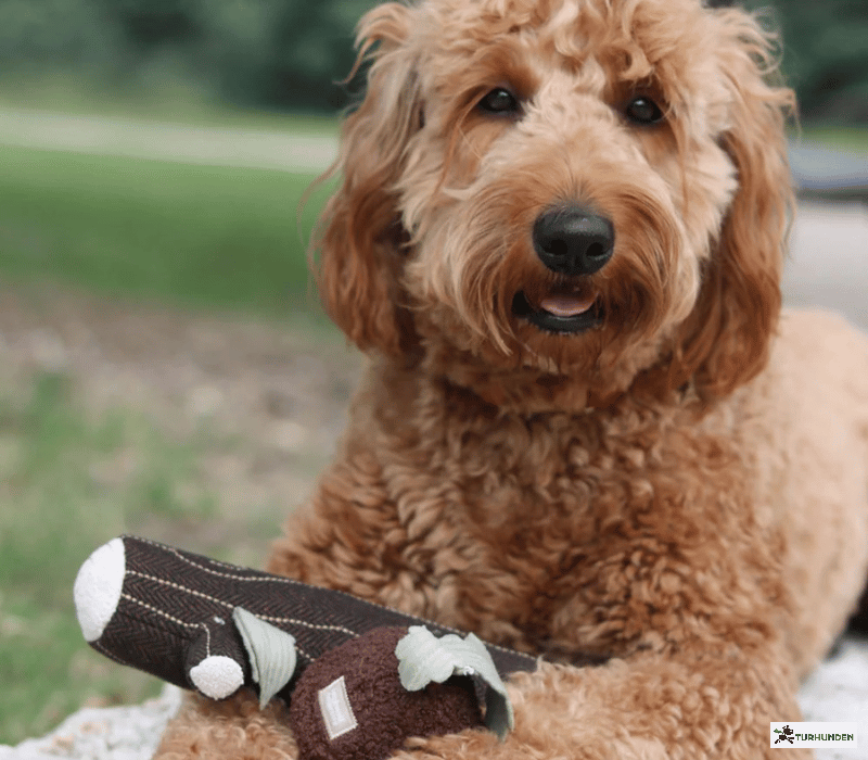 Lambwolf Collective - Fire Log