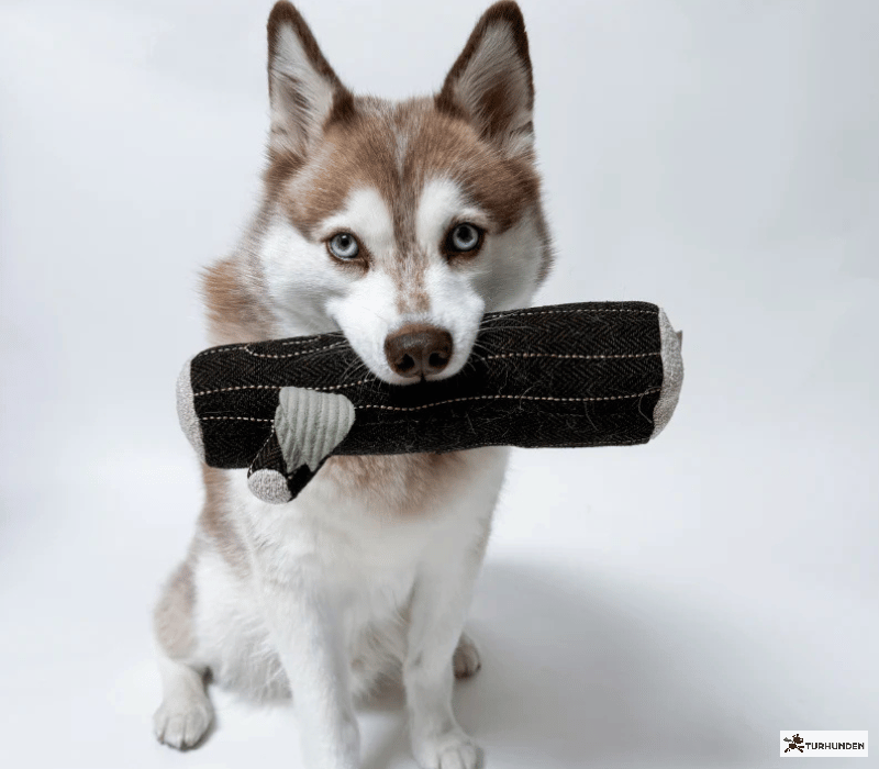 Lambwolf Collective - Fire Log