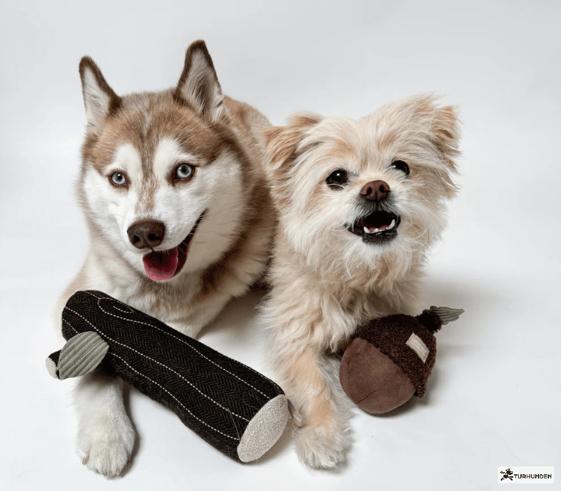 Lambwolf Collective - Fire Log