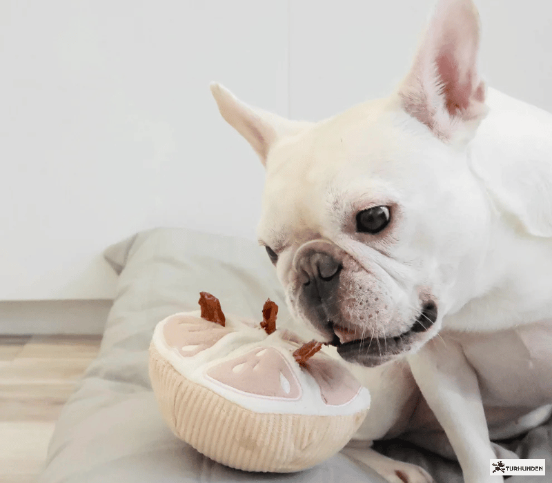 Lambwolf Collective - Grapefruit