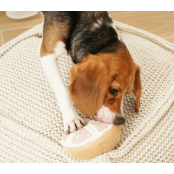 Lambwolf Collective - Grapefruit