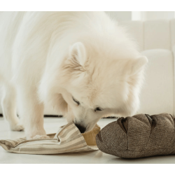 Lambwolf Collective - Rye