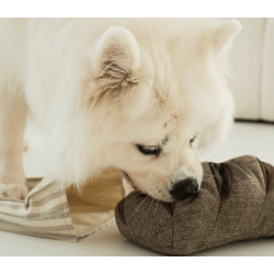 Lambwolf Collective - Rye