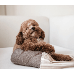 Lambwolf Collective - Rye