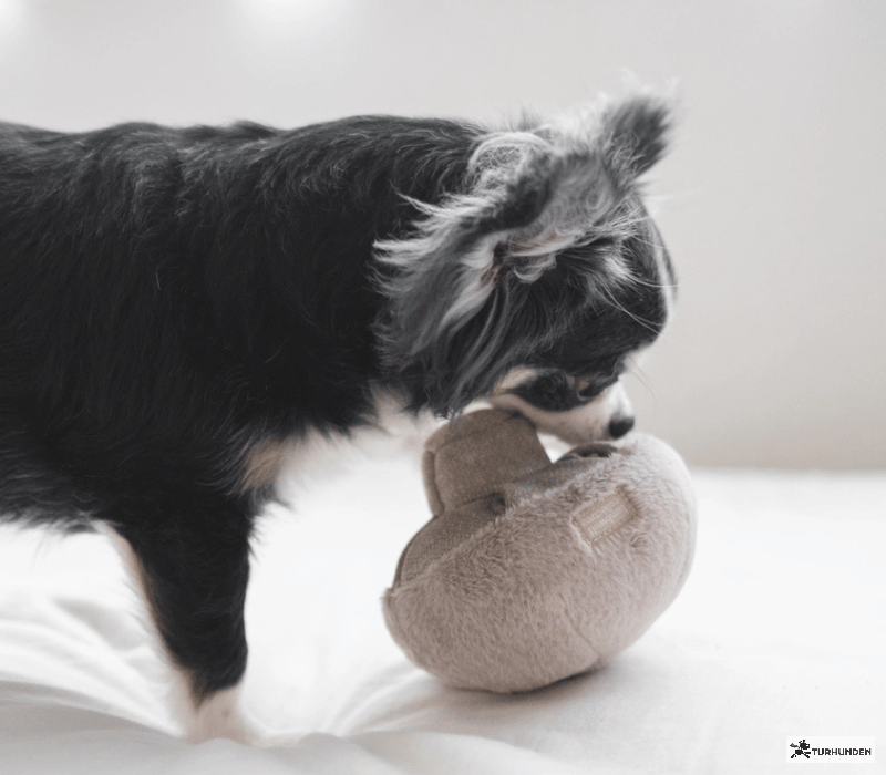 Lambwolf Collective GUU