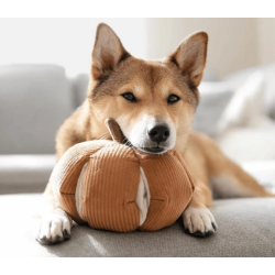 Lambwolf Collective Cindarella - Orange