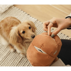 Lambwolf Collective Cindarella - Orange