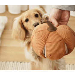 Lambwolf Collective Cindarella - Orange