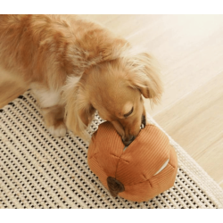 Lambwolf Collective Cindarella - Orange