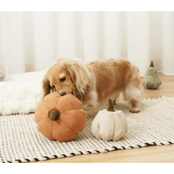 Lambwolf Collective Cindarella - Orange