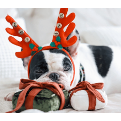 Lambwolf Collective Julegave