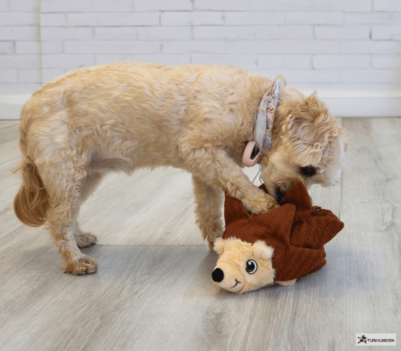 KONG Layerz Forage Hedgehog 