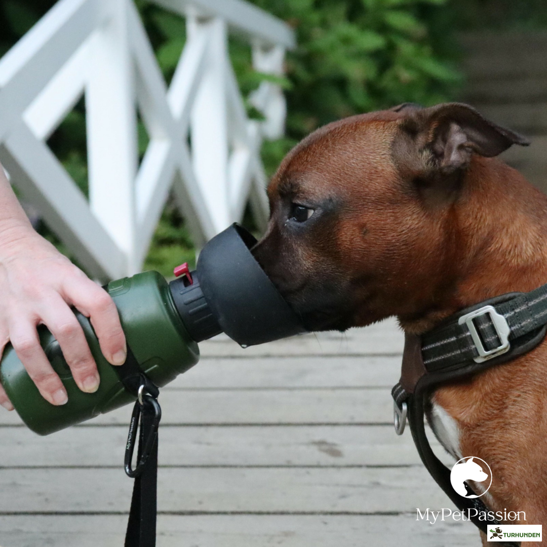 Vandflaske med foldbar drikkesk�l