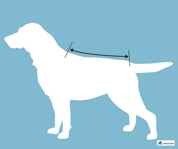 Canelana - Ambassadr Ulddkken