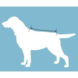 Canelana - Ambassadr Ulddkken