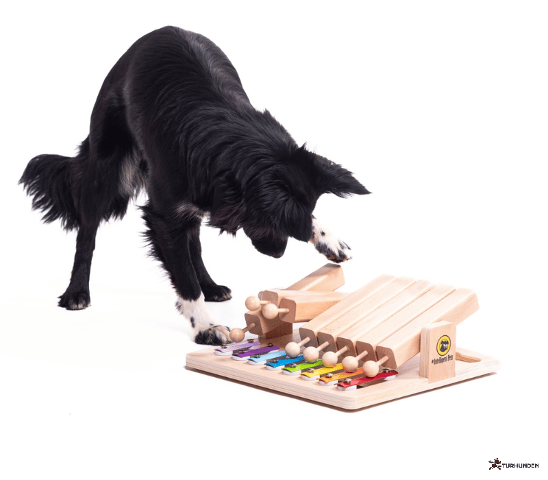 My Intelligent Dogs Piano