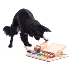 My Intelligent Dogs Piano