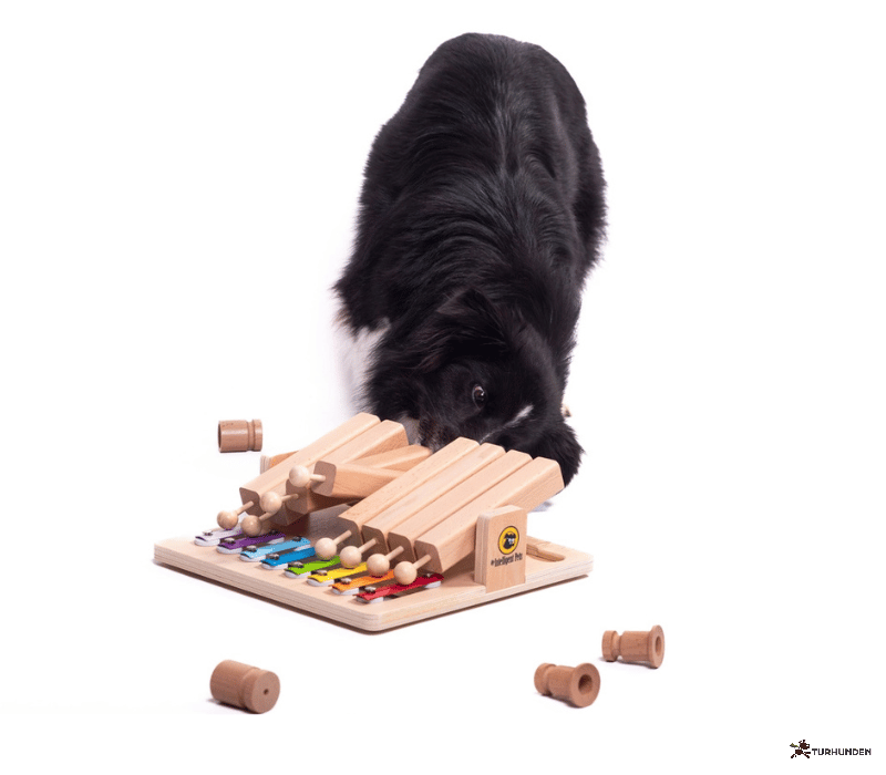 My Intelligent Dogs Piano