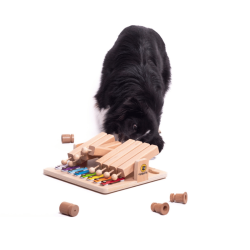 My Intelligent Dogs Piano