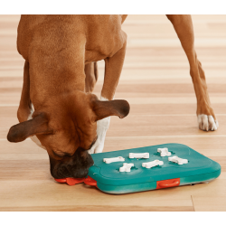 Nina Ottosson Dog Casino