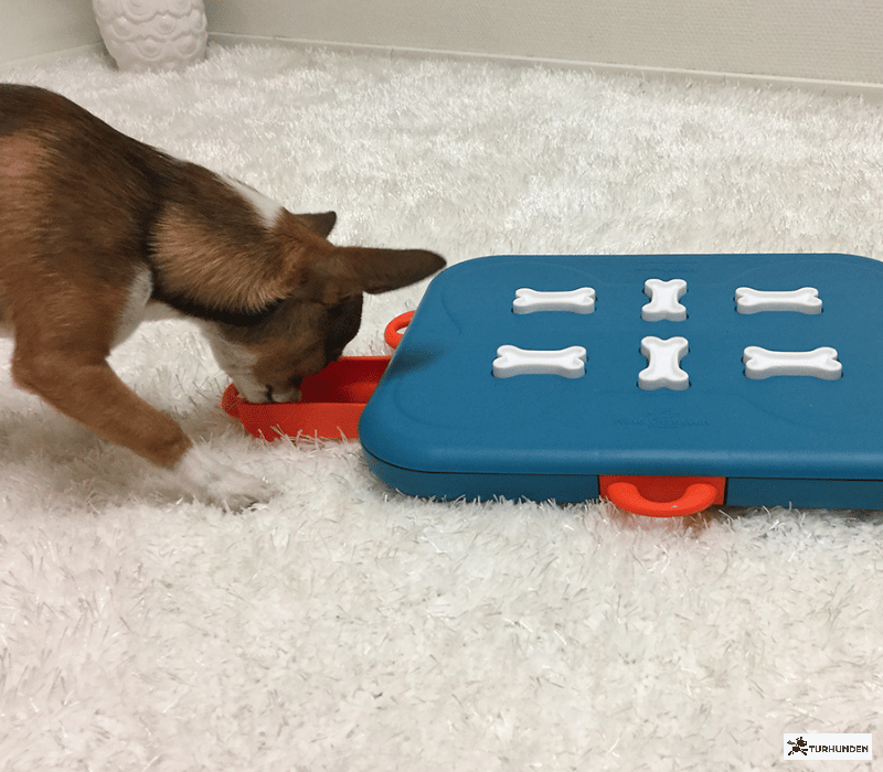 Nina Ottosson Dog Casino