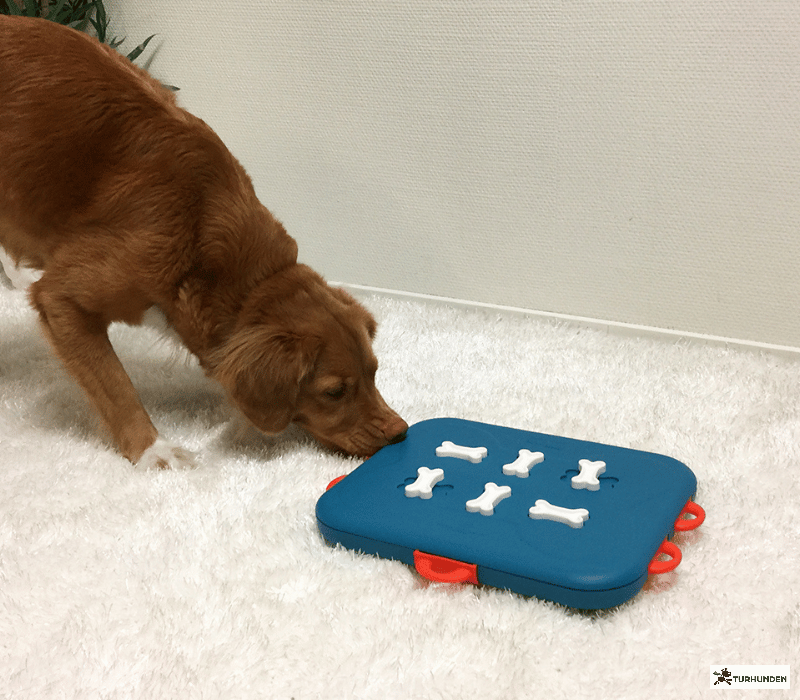 Nina Ottosson Dog Casino