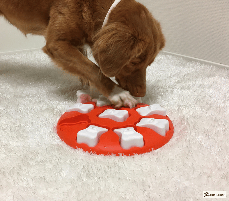 Nina Ottosson Dog Smart