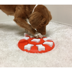 Nina Ottosson Dog Smart