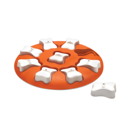 Nina Ottosson Dog Smart