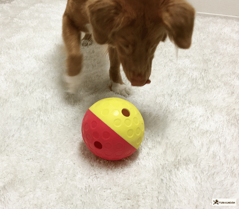 Nina Ottosson Treat Tumble