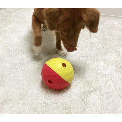 Nina Ottosson Treat Tumble