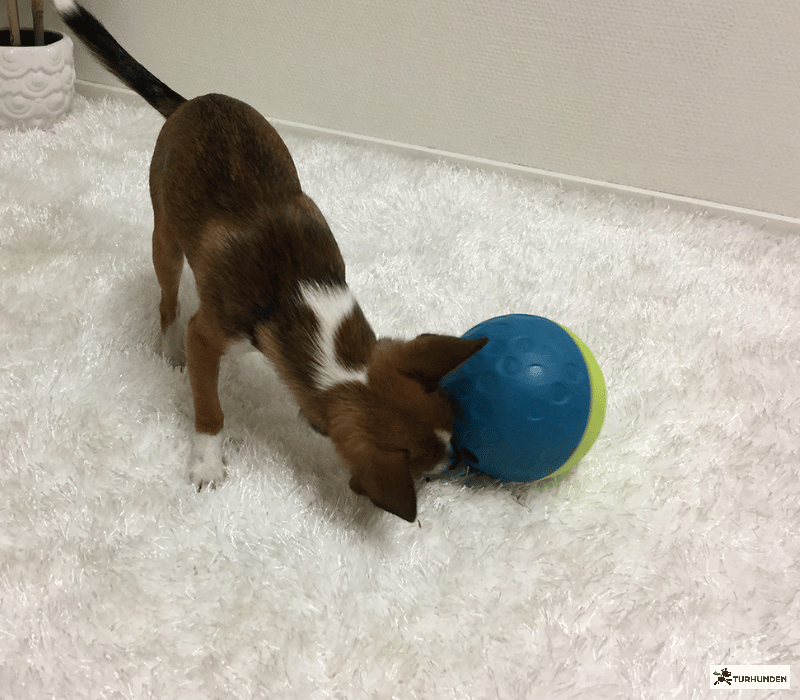 Nina Ottosson Treat Tumble