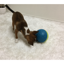 Nina Ottosson Treat Tumble