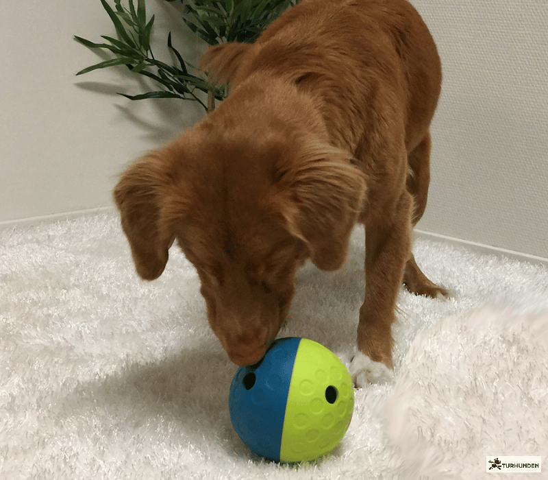 Nina Ottosson Treat Tumble