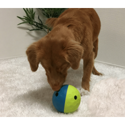 Nina Ottosson Treat Tumble