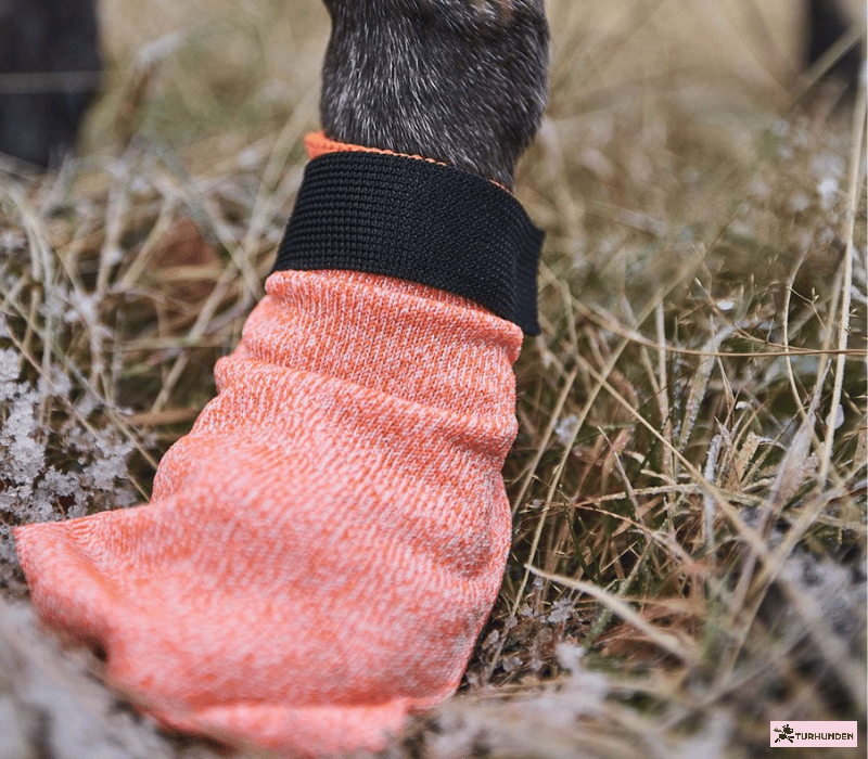 Non-Stop Dogwear Protector Light Socks