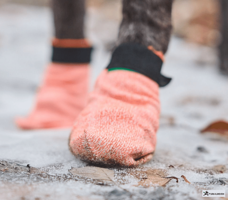 Non-Stop Dogwear Protector Light Socks