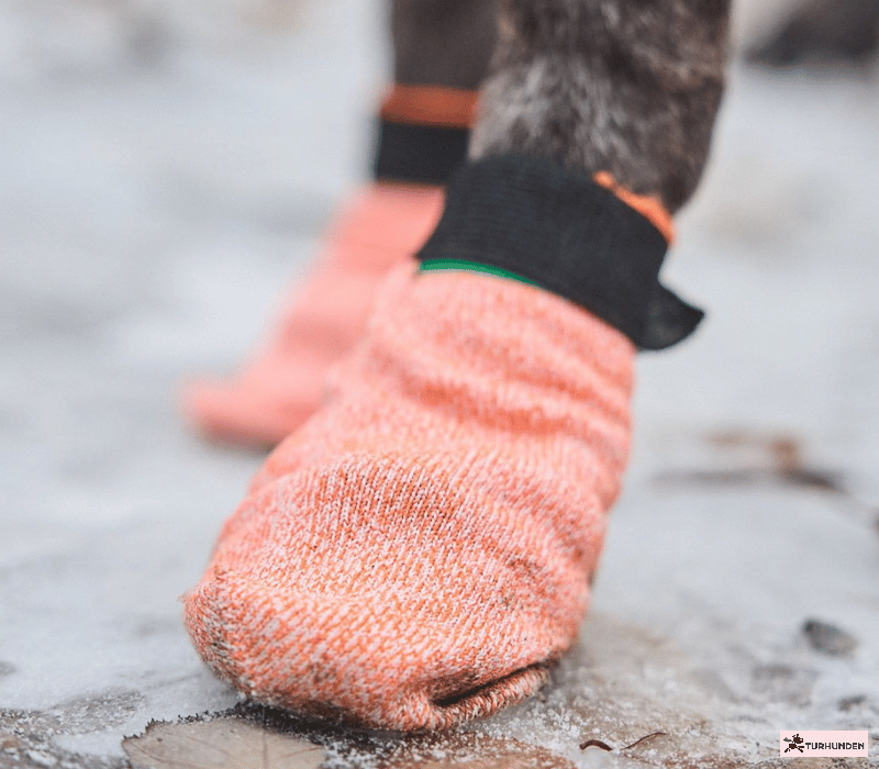 Non-Stop Dogwear Protector Light Socks