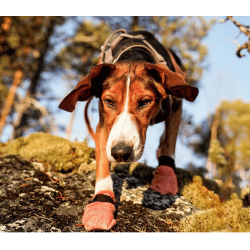 Non-Stop Dogwear Protector Light Socks