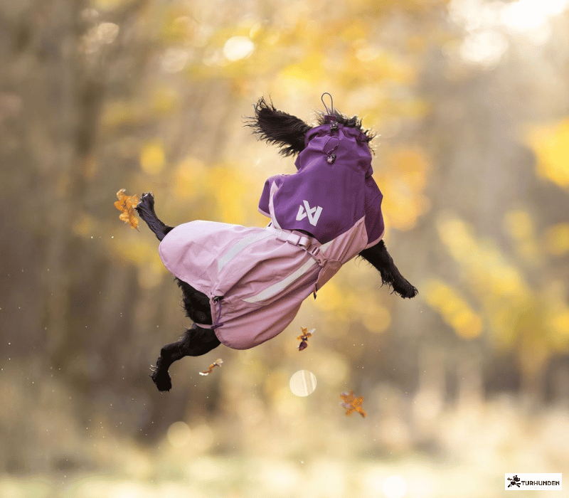 Non-stop dogwear Fjord Raincoat 2.0