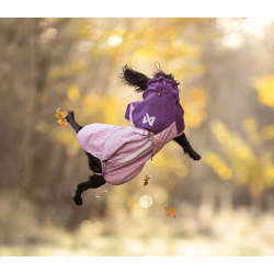 Non-stop dogwear Fjord Raincoat 2.0