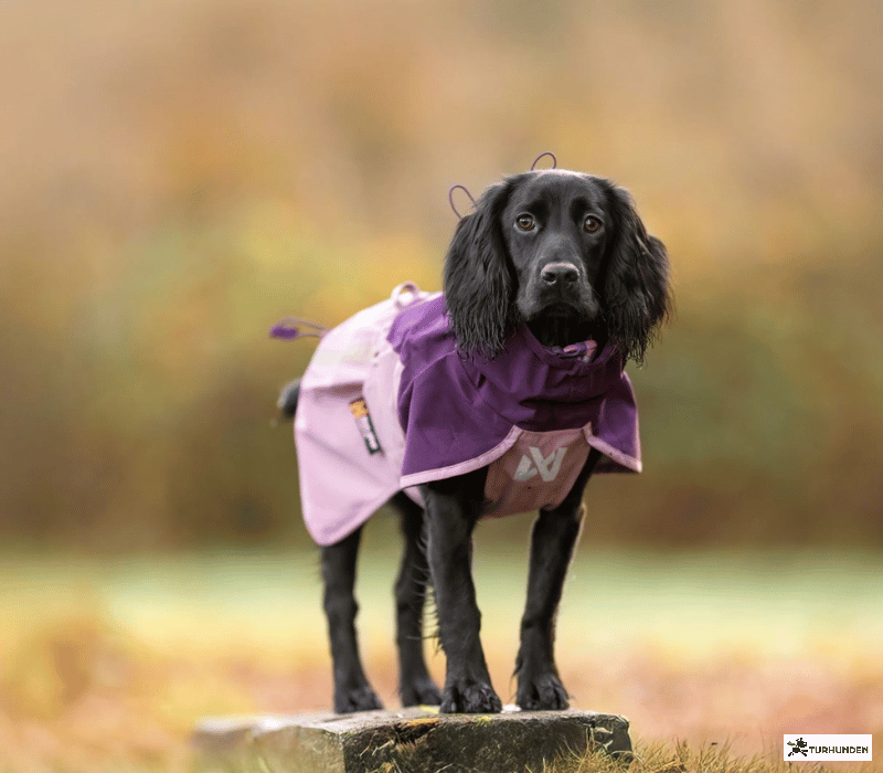 Non-stop dogwear Fjord Raincoat 2.0