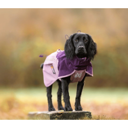 Non-stop dogwear Fjord Raincoat 2.0