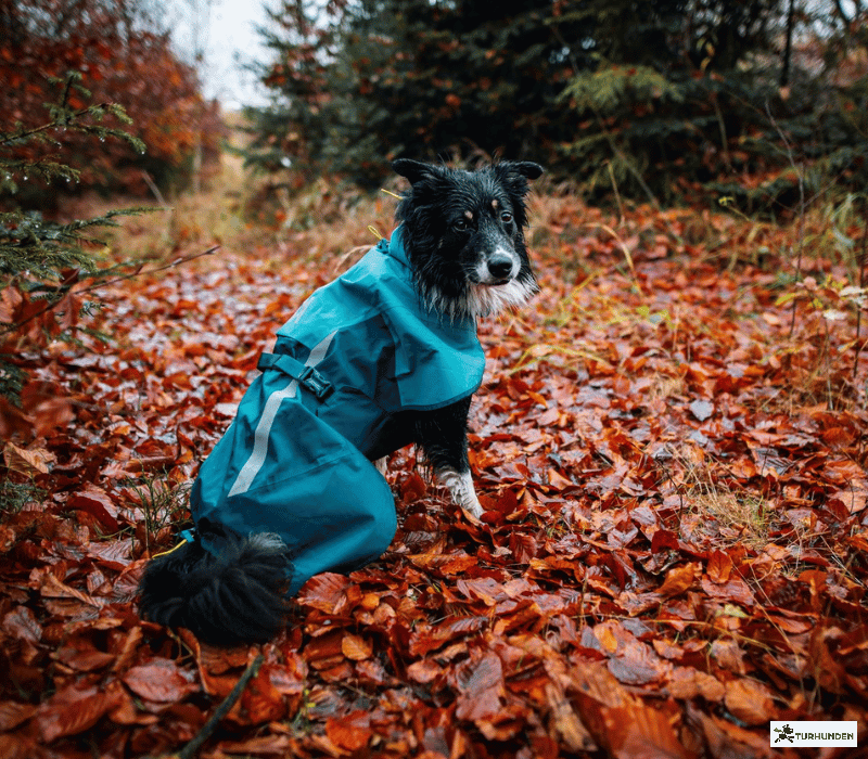 Non-stop dogwear Fjord Raincoat 2.0