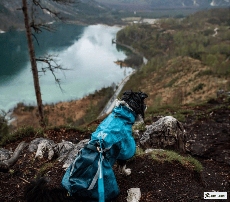Non-stop dogwear Fjord Raincoat 2.0